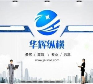 江蘇華輝縱橫科技信息咨詢 專業(yè)信息技術(shù)咨詢服務解析
